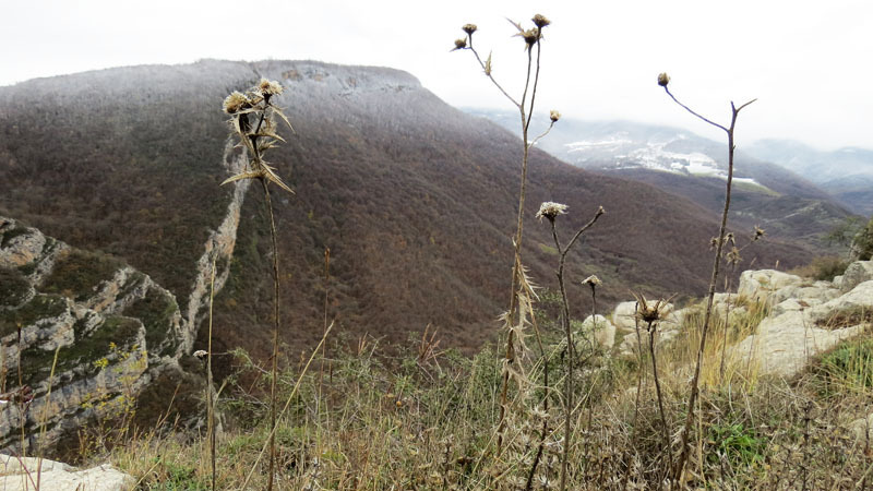 Сюжет 5. Сюжет 5.