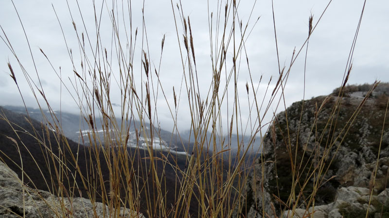 Сюжет 6. Сюжет 6.