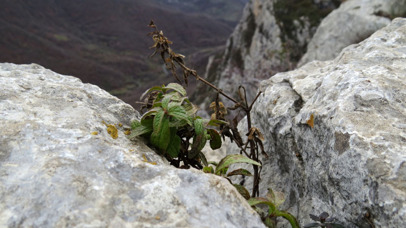 Сюжет 8. Сюжет 8.