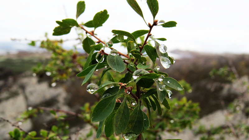 Сюжет 10. Сюжет 10.