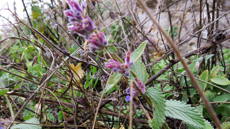 Сюжет 11. Сюжет 11.