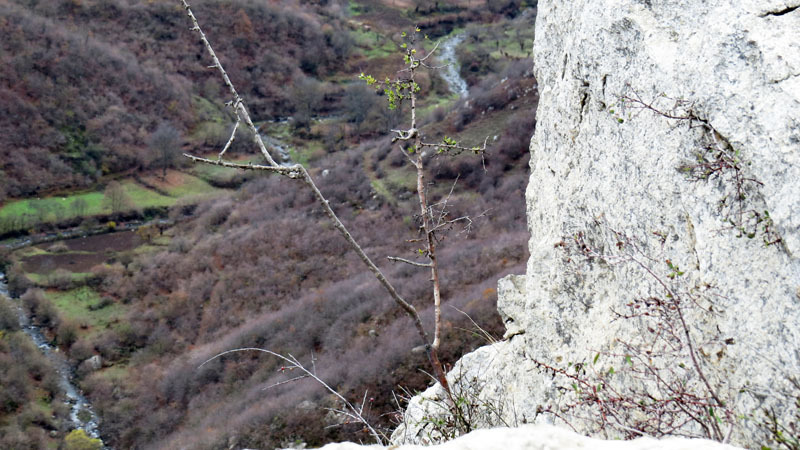 Сюжет 12. Сюжет 12.