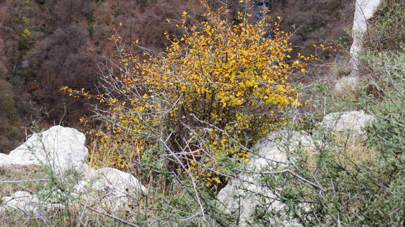 Сюжет 13. Сюжет 13.