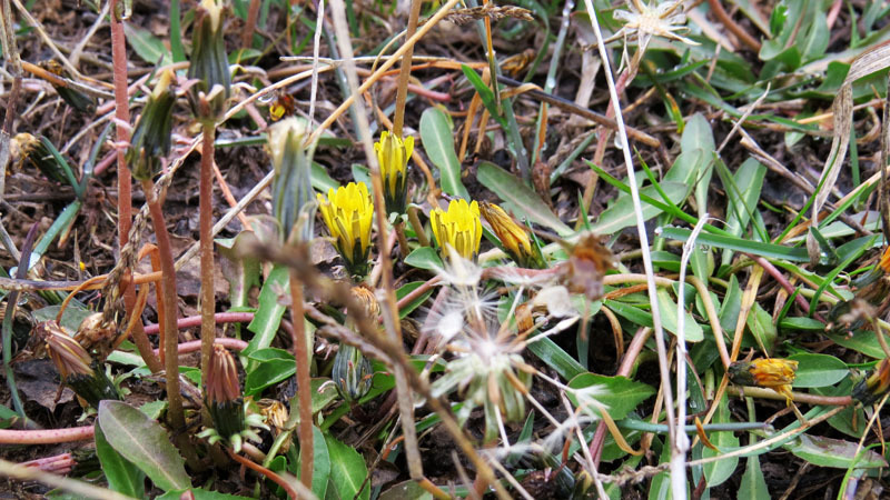 Сюжет 15. Сюжет 15.