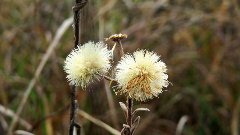 Сюжет 16. Сюжет 16.