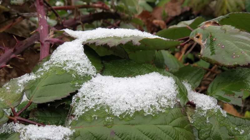 Сюжет 17. Сюжет 17.