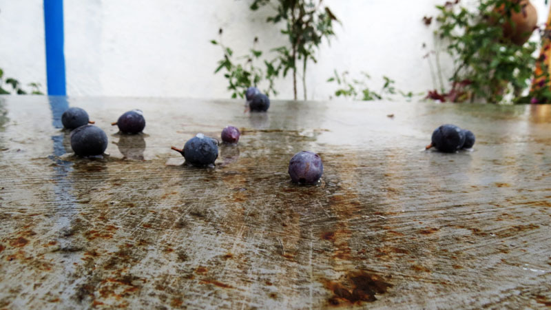 Сюжет 19. Сюжет 19.