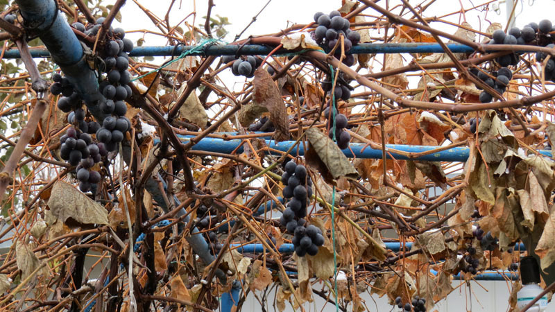 Сюжет 21. Сюжет 21.