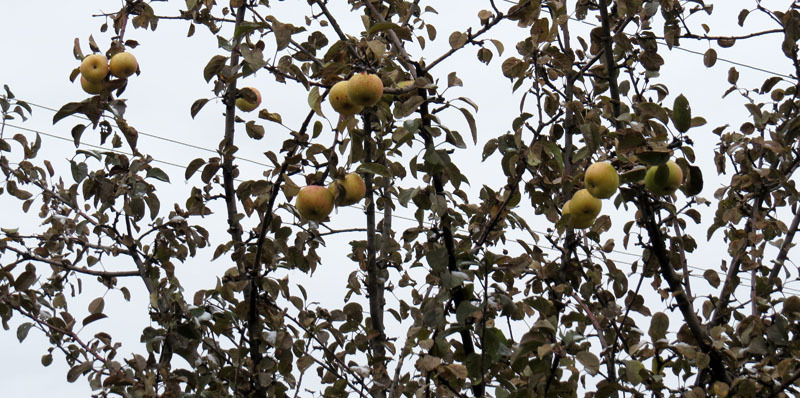 Сюжет 22. Сюжет 22.