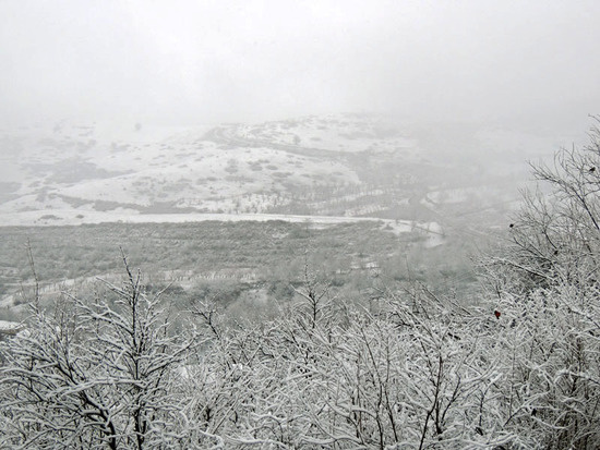  Недалеко от Гиши, рядом с дорогой заснеженные поля крестьян.