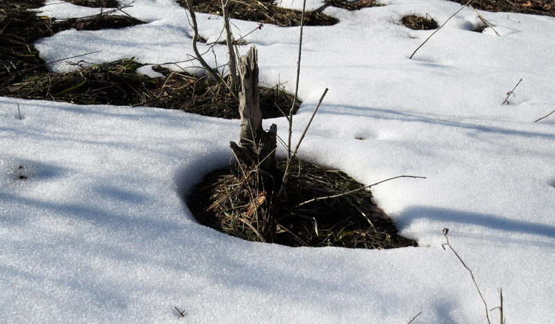 Анклав. Анклав.