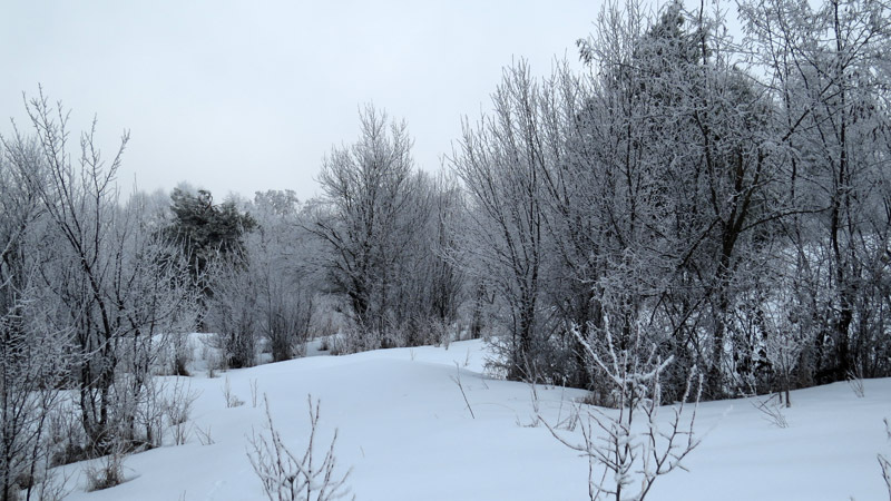 А здесь был уже глубокий снег. А здесь был уже глубокий снег.