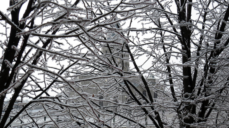 Сквозь ветки дерева видна церковь Казанчецоц. Сквозь ветки дерева видна церковь Казанчецоц.