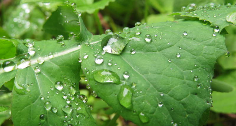 Cегодняшнее утреннее фото - 1. Cегодняшнее утреннее фото - 1.