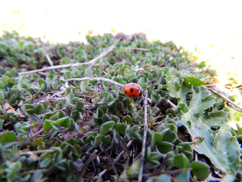 Фотоподборка - 2. Фотоподборка - 2.