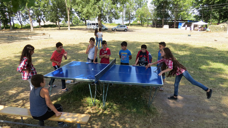 настольный теннис, настольный теннис,