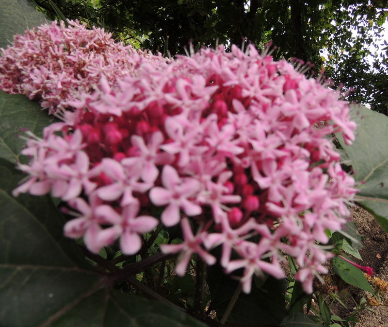 Зарисовка 2. Зарисовка 2.