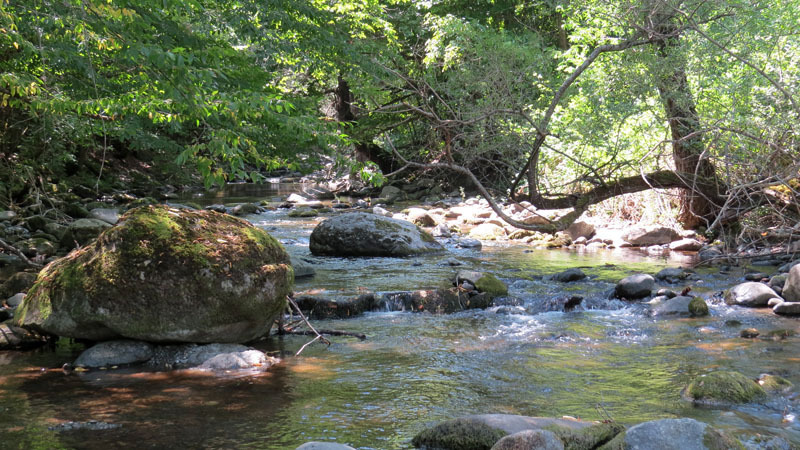 Фотозарисовка - 1.