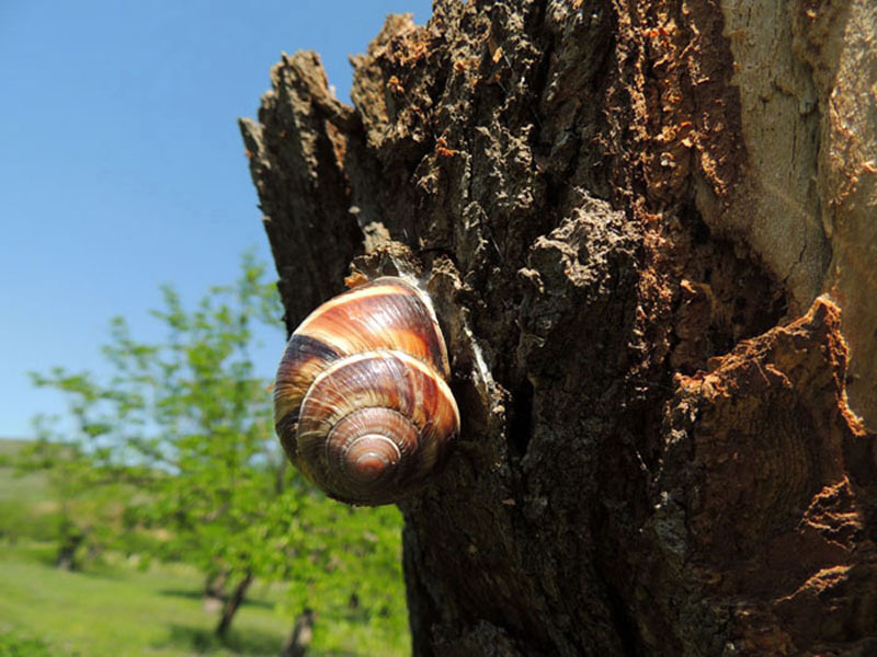 Фотовыставка (август) - 7. Фотовыставка (август) - 7.